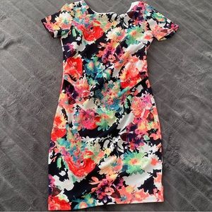 Pink Blush Maternity Floral Dress